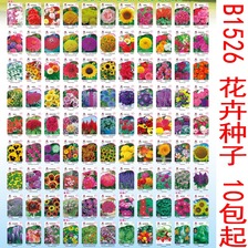 B1526 花卉种子 家庭阳台盆栽庭院易种植黄瓜辣椒西瓜籽孑大全
