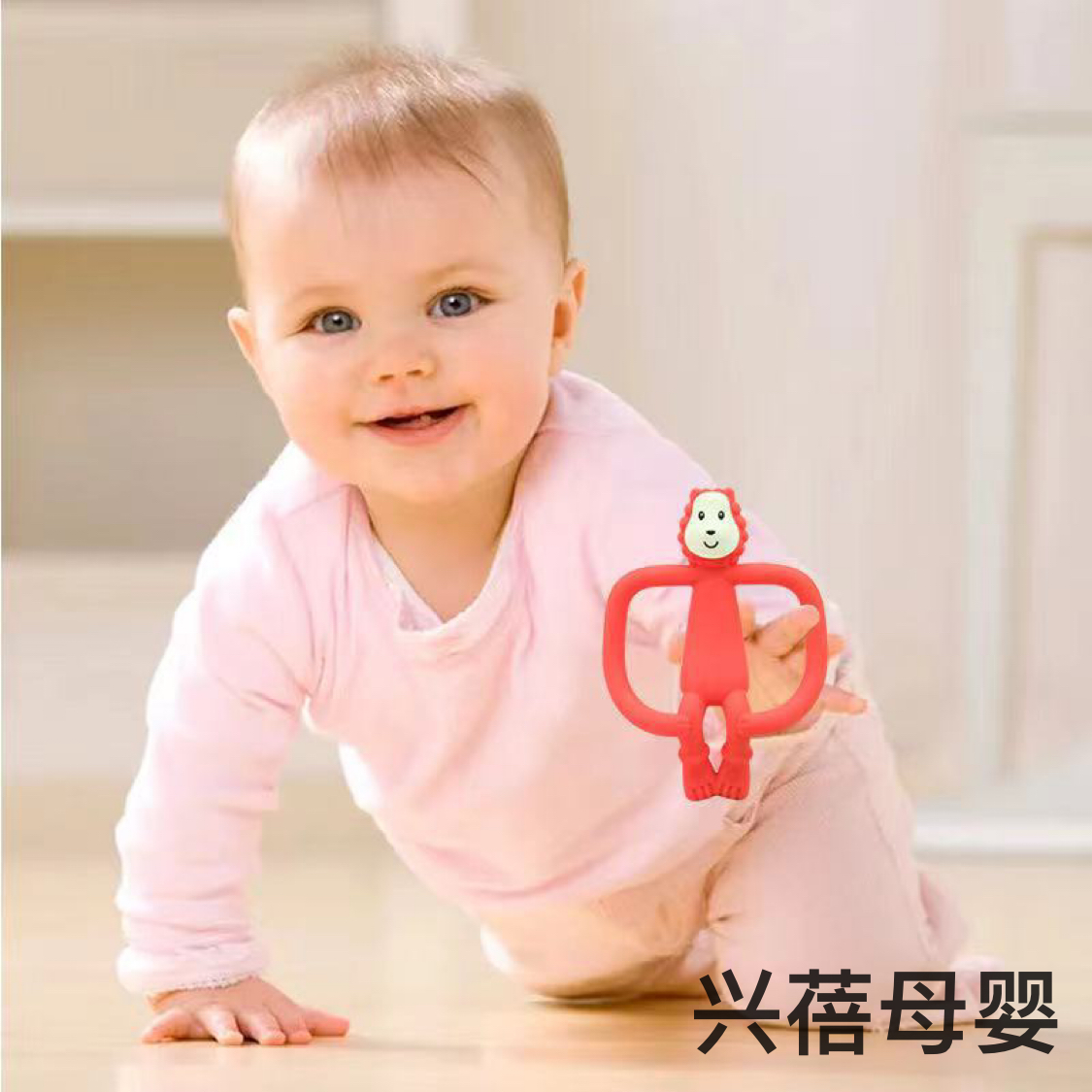 磨牙棒饼干实物图