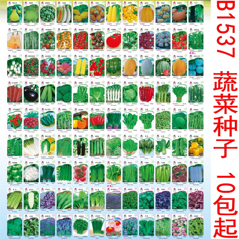 B1537 蔬菜种子 家庭阳台盆栽庭院易种植黄瓜辣椒西瓜籽孑大全图