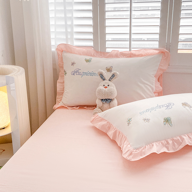 2022 Pure Cotton Four-piece Set, all-cotton bedding in INS style, Nordic minimalist, all-cotton embroidered princess style Four-piece set Application Scenario