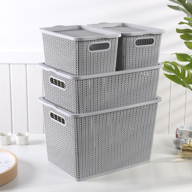 W15-2111 Creative Children's Storage Box, Large Plastic Lid Organizing Box, Kitchen Vegetable and Fruit Storage Box Factory Item Picture