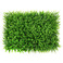 仿真草坪仿真植物墙草坪普通加密尤加利塑料人造绿植假草皮图