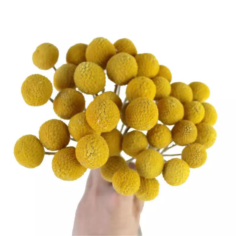黄金球干花永生花满天星勿忘我家居摆件圣诞婚庆花束手工diy材料