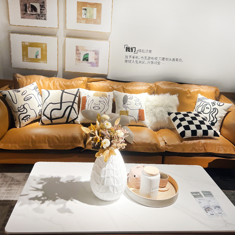 Nordic living room leather sofa cushions, all-cotton canvas pillowcases, model room headboard bay window original embroidered cushions Application Scenario