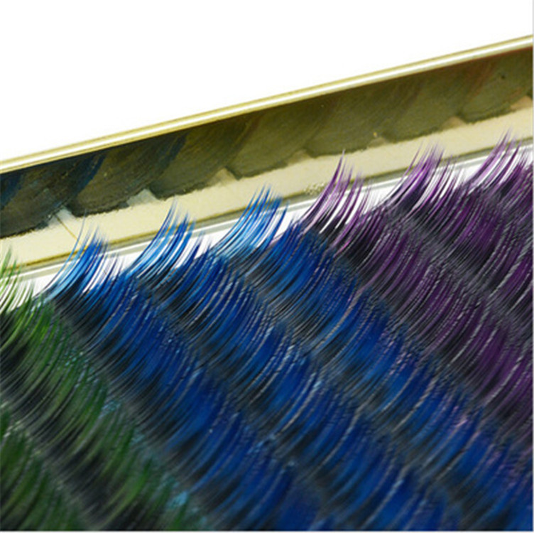 New Korean extended eyelash tips, four-color eyelash 0.15C curls, best-selling product, factory direct sale Application Scenario