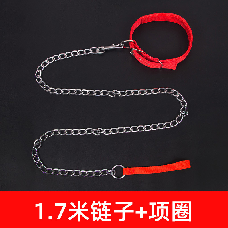 Wholesale dog chains, anti-biting broken dog leash, iron chain rope, iron collar tie, dog walking leash Application Scenario