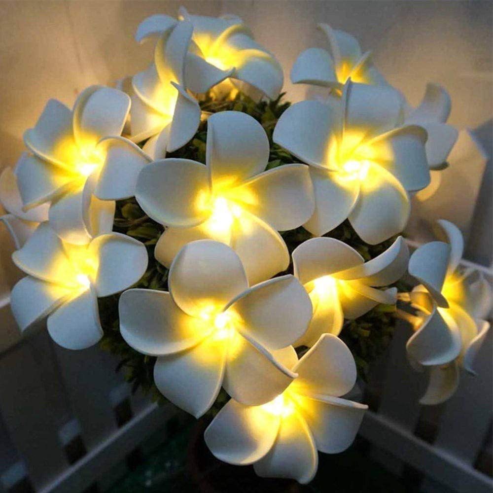 Cross-border led egg lanterns string Christmas holiday proposal advertisement decoration lights star lights string thumbnail