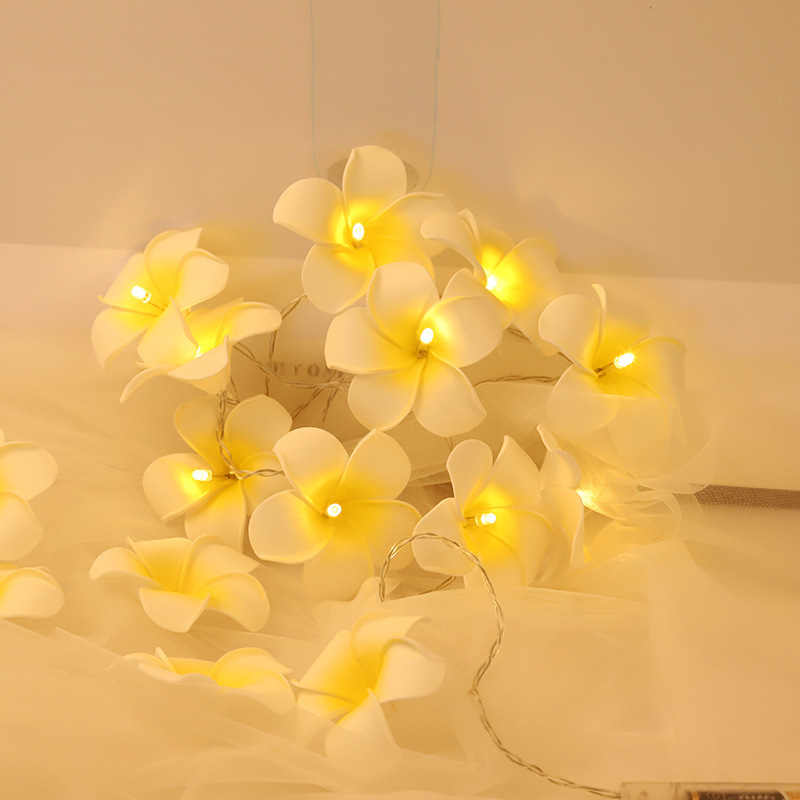 LED鸡蛋花灯串亚马逊少女花朵串灯圣诞节房间装饰花园景