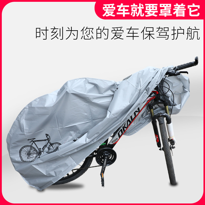 其他分类实物图