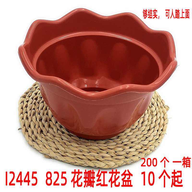 I2445  825花瓣红花盆  塑料 菜盆阳台 种菜 会销 礼品 赠品 批货