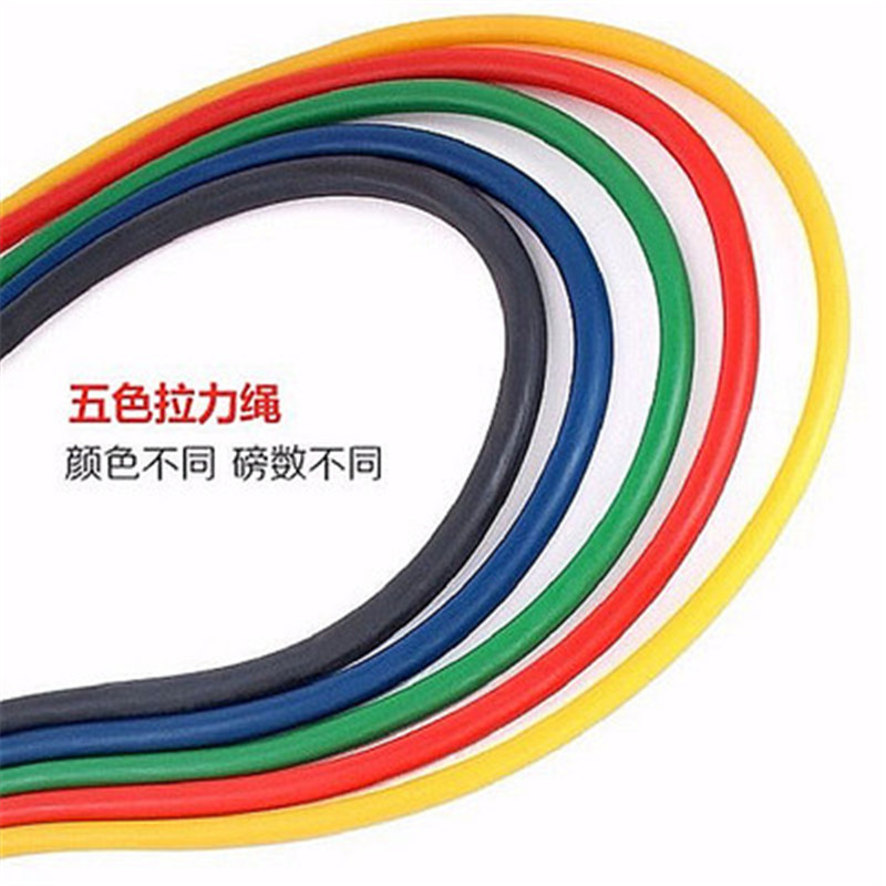 拉力器、握力器实物图