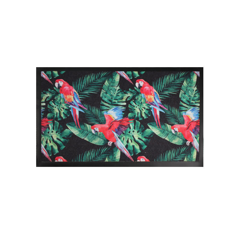 Printed entrance floor MATS, entrance door MATS, doormat MATS, bedroom and kitchen MATS, bathroom absorbent MATS, household carpets Item Picture