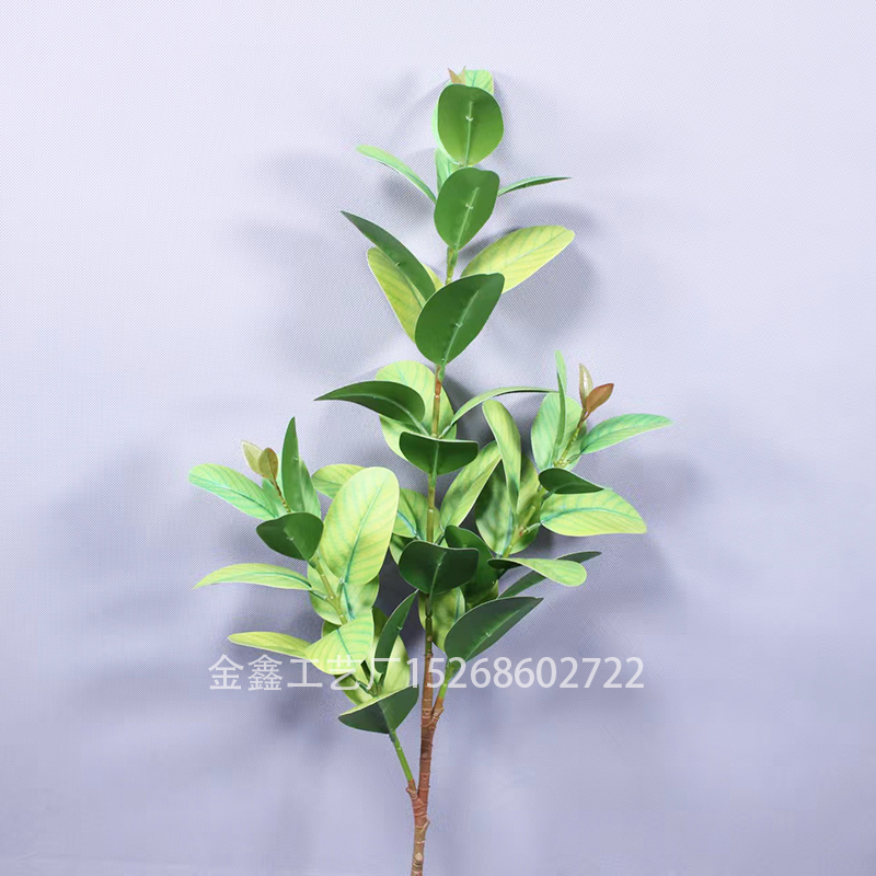 仿真植物实物图