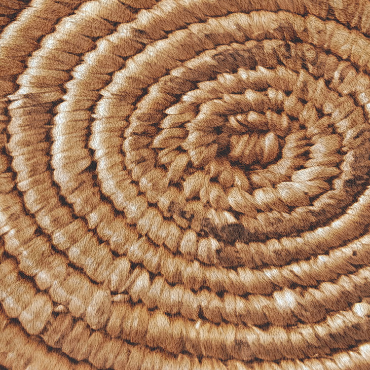 Cross-border bestsellers: Floor MATS, bathroom MATS, bathroom floor MATS, anti-slip floor MATS for home use, water-absorbing and quick-drying door MATS details Picture