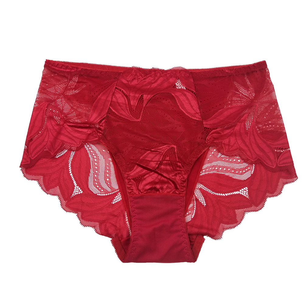 4xl high waist lace women's underwear hollow transparent perspective seamless sexy women's underwear sold in Europe Item Picture