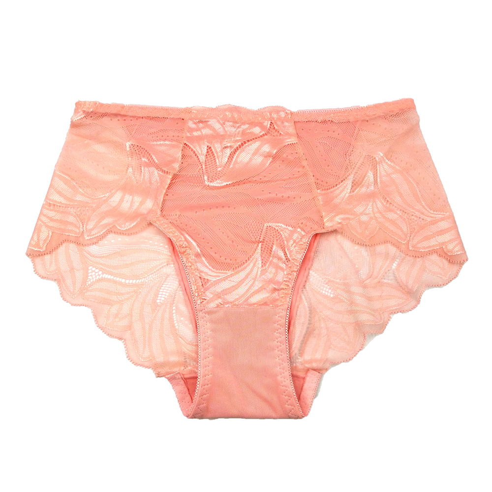 4xl high waist lace women's underwear hollow transparent perspective seamless sexy women's underwear sold in Europe details Picture
