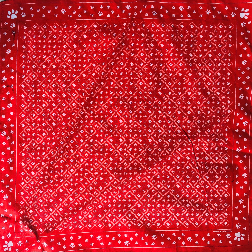 Cotton square towel, pet footprint, hip-hop headscarf, outdoor large handkerchief, handkerchief, sports sweat-absorbing wrap towel