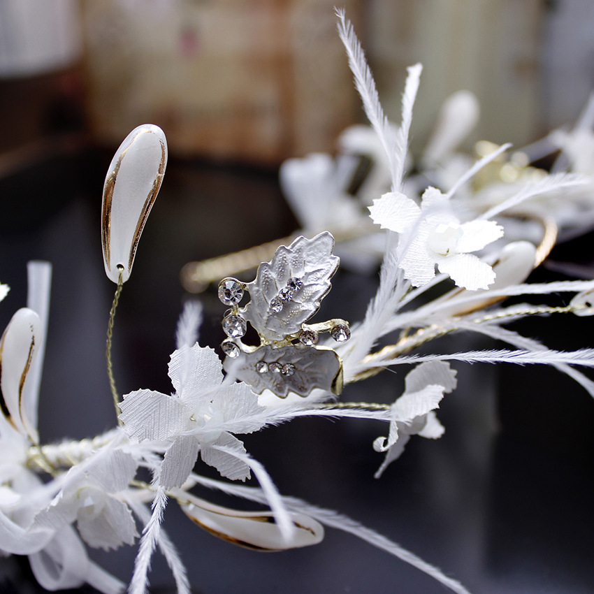 Korean version crystal headband, photo studio, magazine cover design, festival celebration, stage performance, fairy feather headwear details Picture