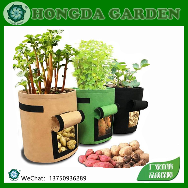 土豆种植袋毛毡无纺布植物种植桶番茄马铃薯仔草莓毛毡植树袋