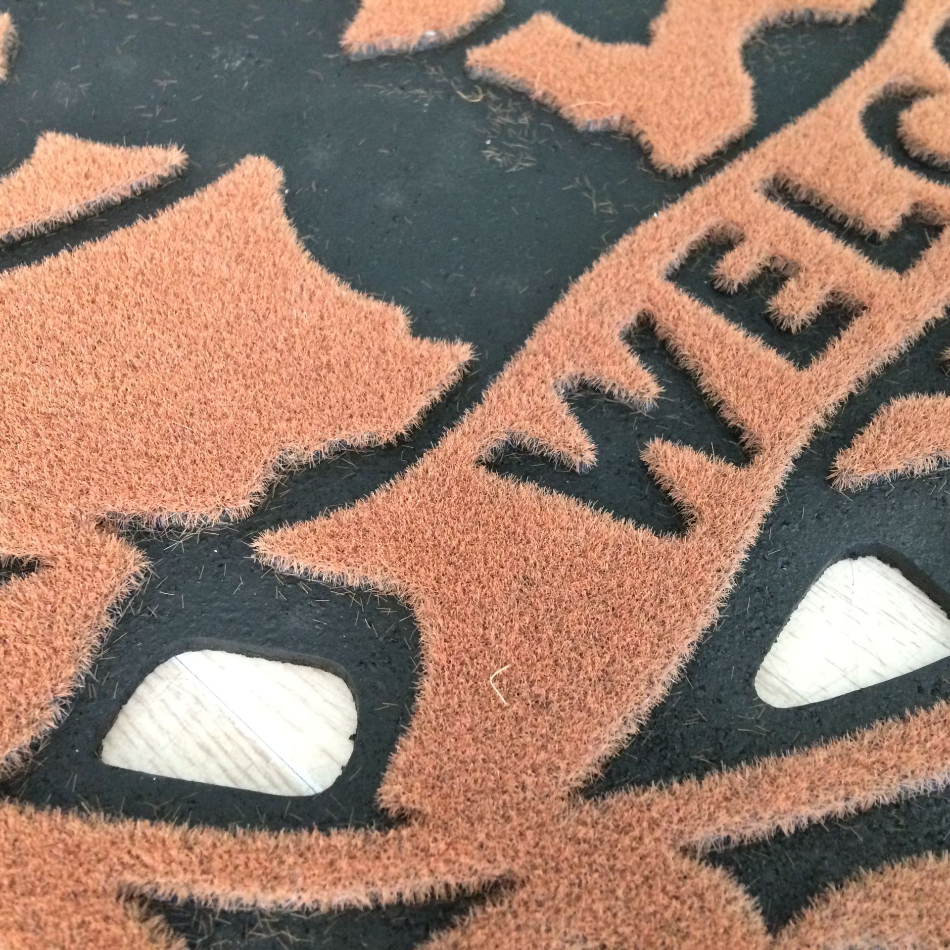 Single-color Mickey Mouse exterior door, outdoor door, flocked rubber printed dust removal door mat, floor mat, anti-slip foot mat Application Scenario