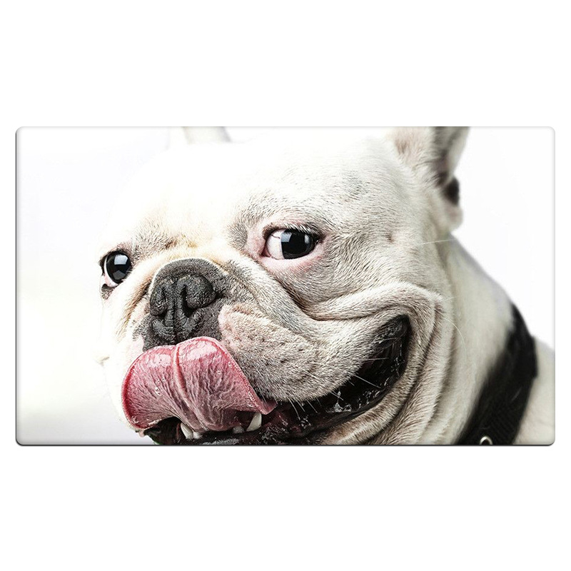 Nordic-style home dog floor MATS and carpets, doormat MATS, bathroom, kitchen and bedroom anti-slip and absorbent floor MATS and carpets details Picture