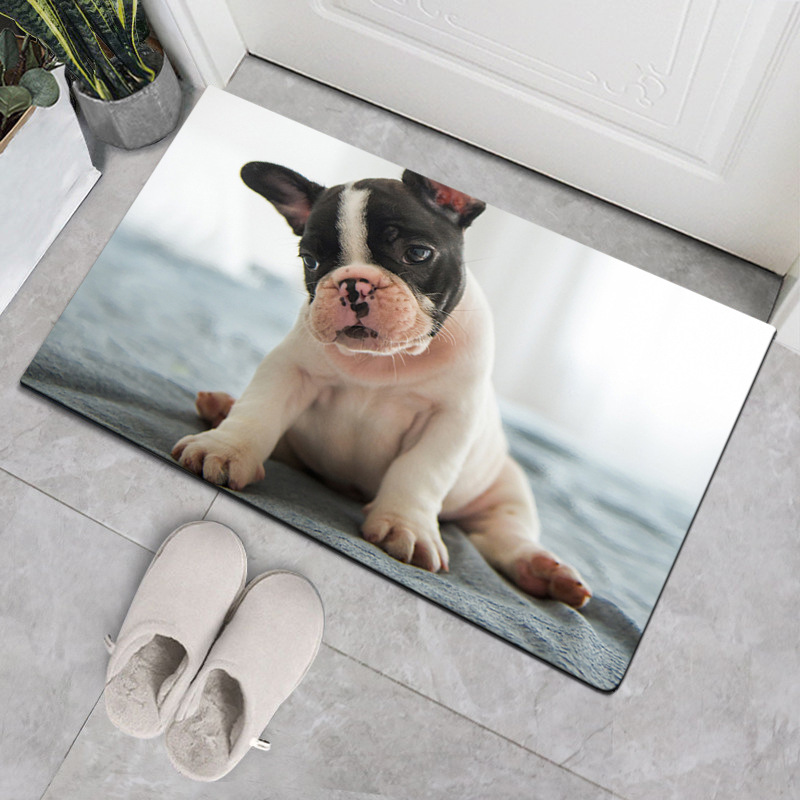 Nordic-style home dog floor MATS and carpets, doormat MATS, bathroom, kitchen and bedroom anti-slip and absorbent floor MATS and carpets Specification image