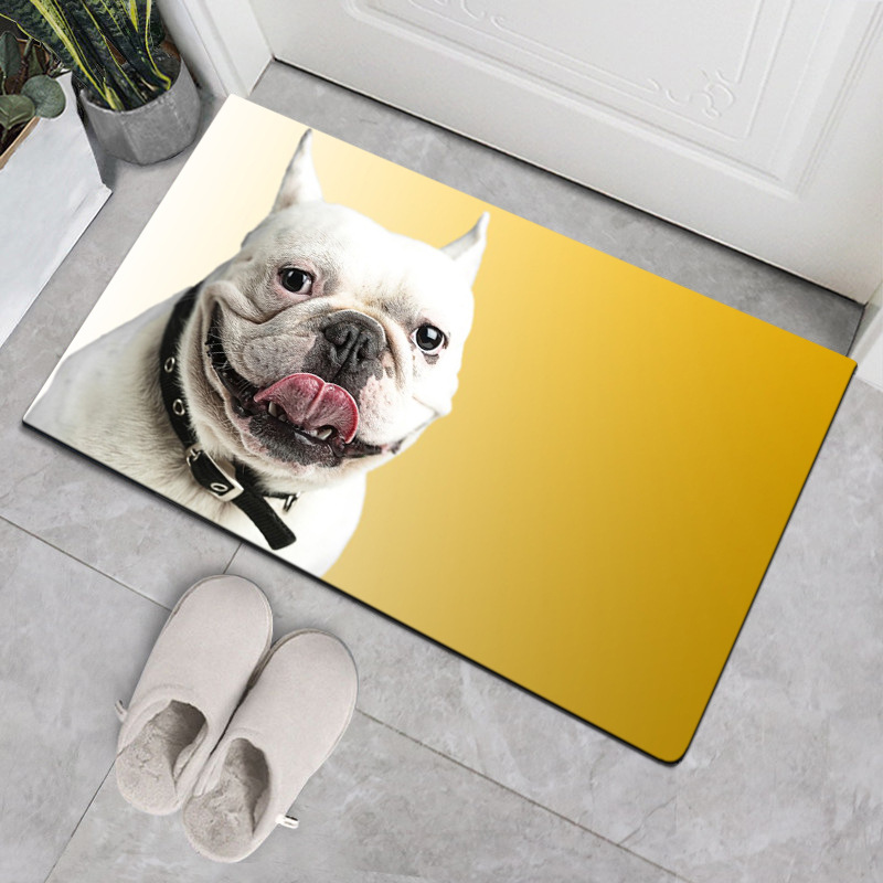 Nordic-style home dog floor MATS and carpets, doormat MATS, bathroom, kitchen and bedroom anti-slip and absorbent floor MATS and carpets Item Picture