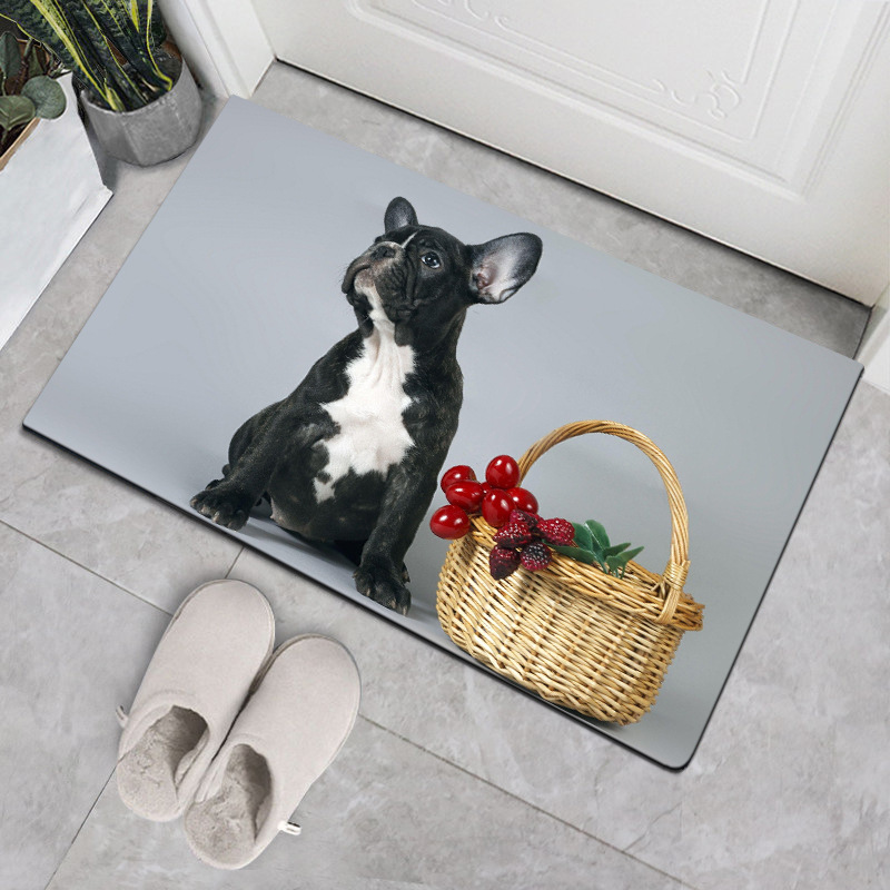 Nordic-style home dog floor MATS and carpets, doormat MATS, bathroom, kitchen and bedroom anti-slip and absorbent floor MATS and carpets Application Scenario