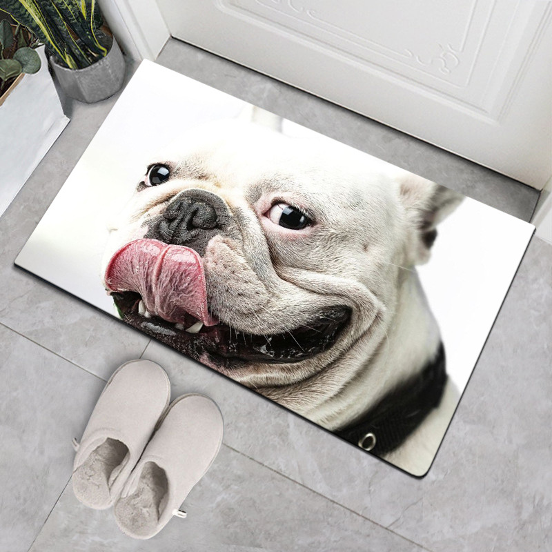 Nordic-style home dog floor MATS and carpets, doormat MATS, bathroom, kitchen and bedroom anti-slip and absorbent floor MATS and carpets