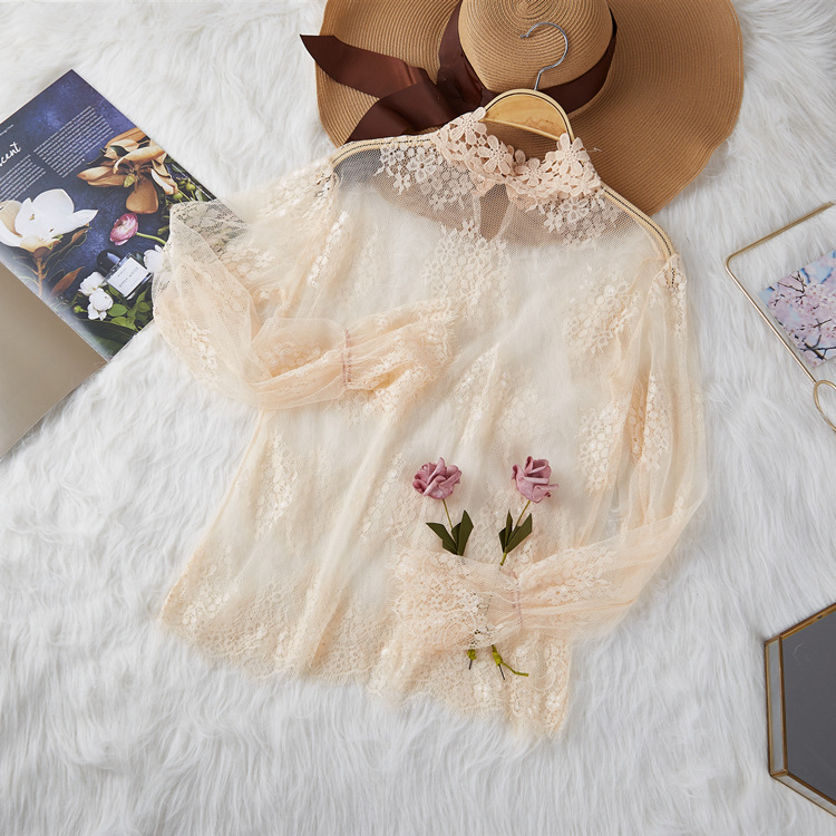 A stylish Korean-style lace blouse with a high collar and flared sleeves, paired with a sexy cut-out mesh and a sweater, is a super ethereal top Application Scenario