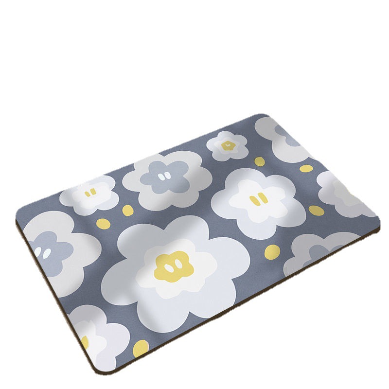 Bathroom mat, water-absorbing and anti-slip floor mat, diatom mud floor mat, toilet door, entrance door carpet, AliExpress Item Picture