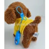 Teddy dog on a leash, nodding, barking, singing and walking, cute and fun electric toy 1 Application Scenario