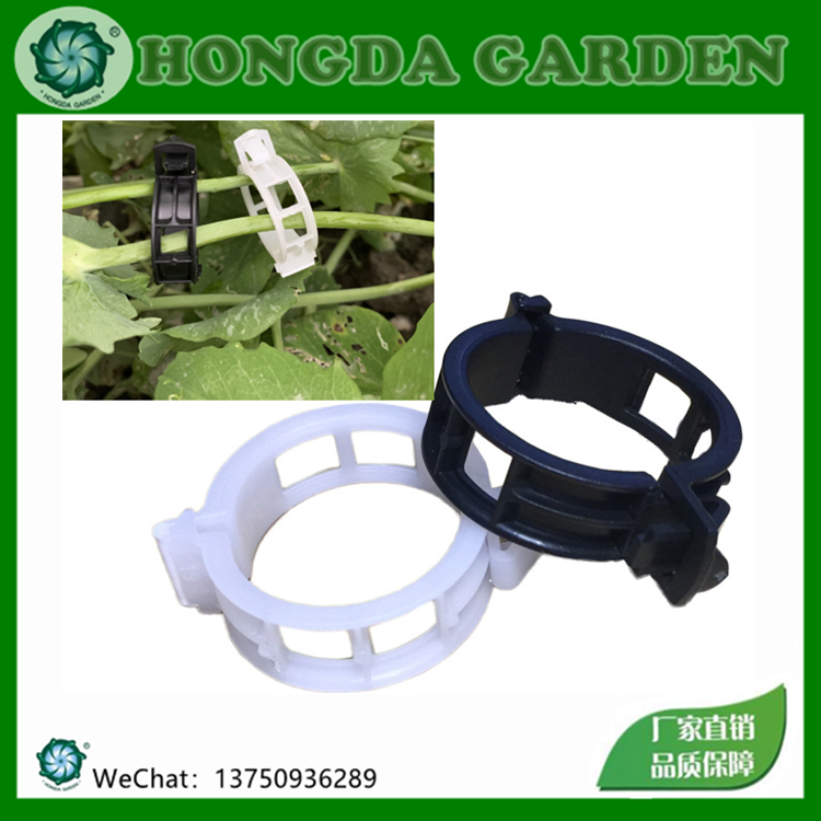 植物固定夹嫁接夹吊放器西红柿卡扣植物夹塑料绑蔓夹绑枝加厚