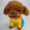 Teddy dog on a leash, nodding, barking, singing and walking, cute and fun electric toy 1 Specification image