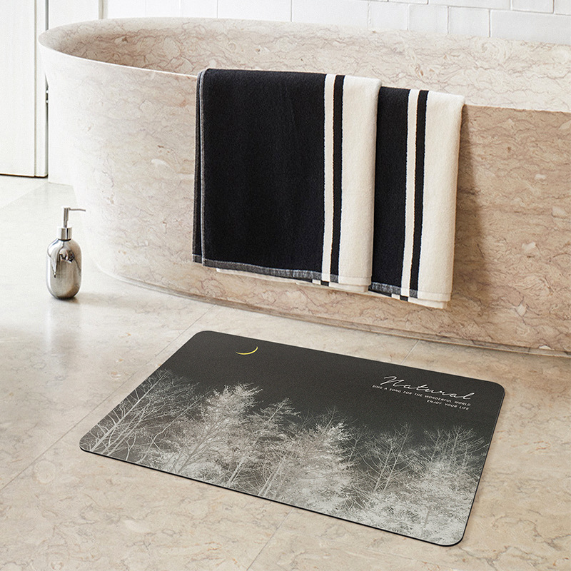 Artistic diatom mud floor MATS, bathroom and toilet water-absorbing and quick-drying foot MATS, household entrance door and foyer door MATS Application Scenario