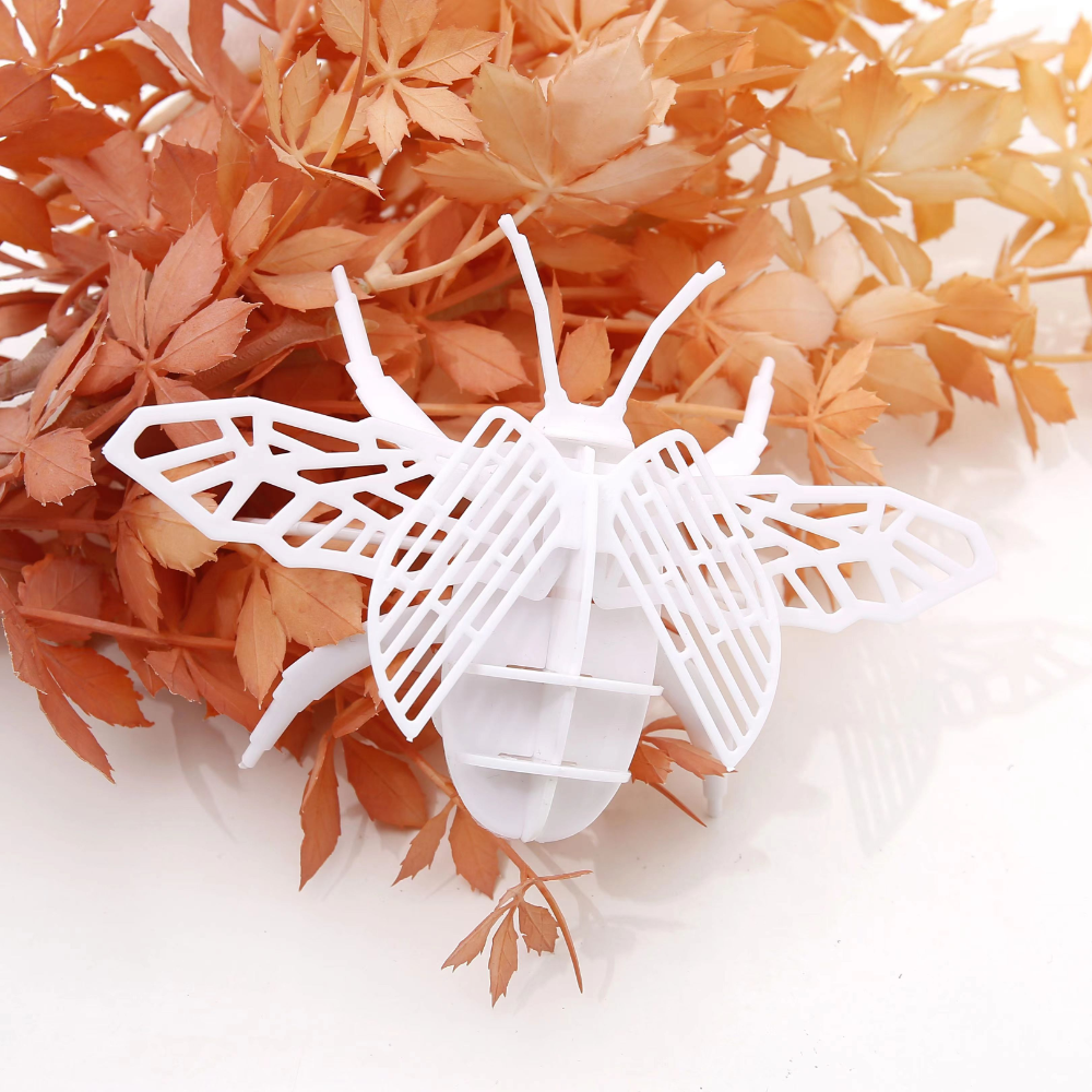 笔墨纸制品白底实物图