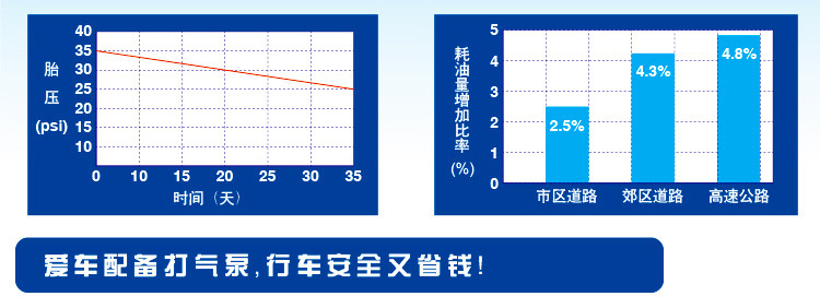 erica HONOR汽车打气筒6138B车载充气泵12V耐用配件脚踩打气详情5