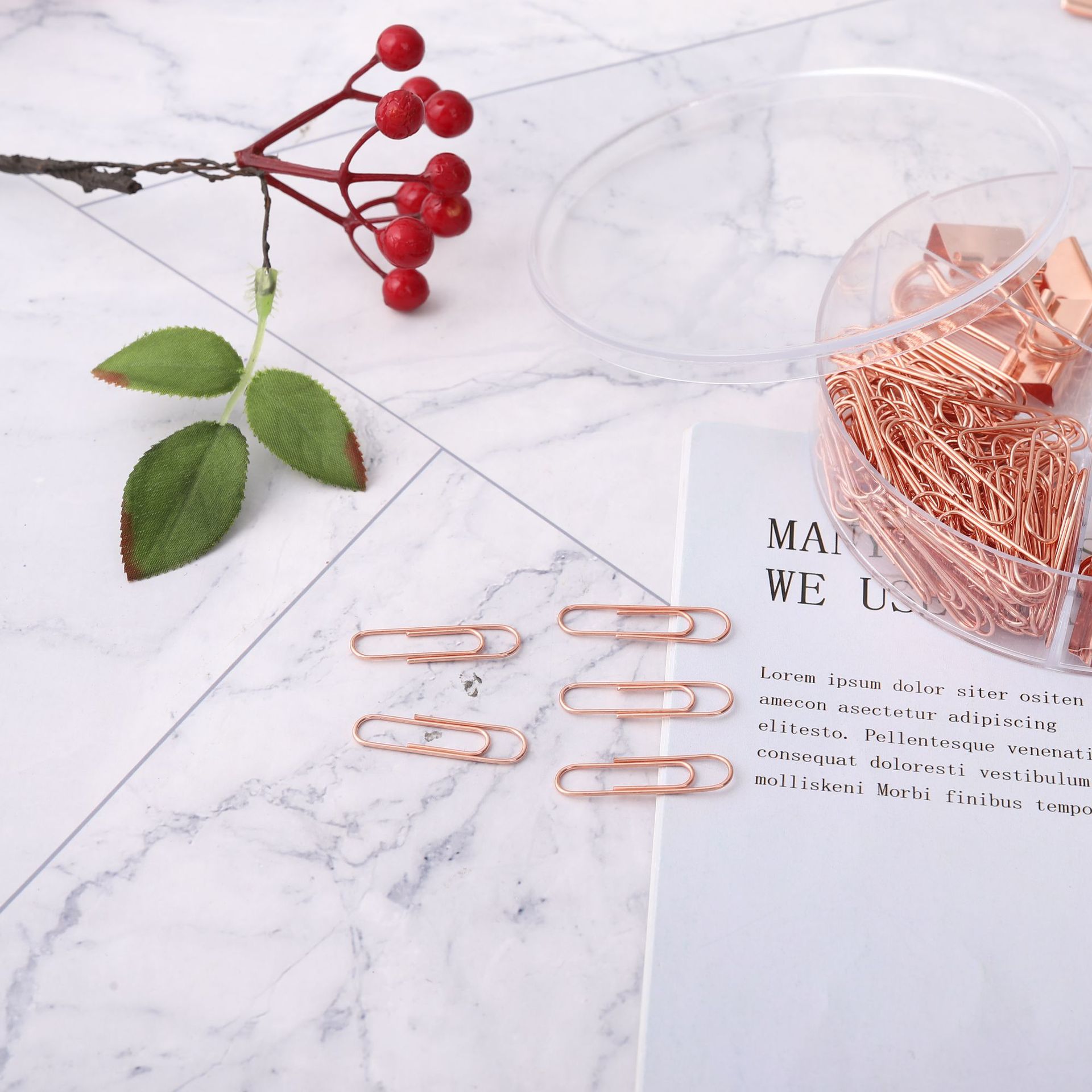 Cross-border direct supply 19mm rose gold long-tail clip paperclip storage set, multi-functional I-shaped nail receipt holder combination pic 5