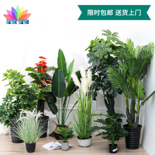 黄色5叉跳舞兰人造仿真花束假花文心兰 客厅婚庆装饰绢花蝴蝶兰详情3