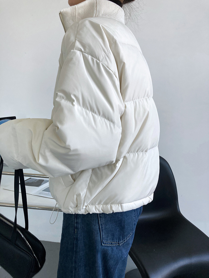 Luxi 2022 New Design sense stand-up collar short Down jacket for petite women 90, white duck down jacket Y33 pic 32