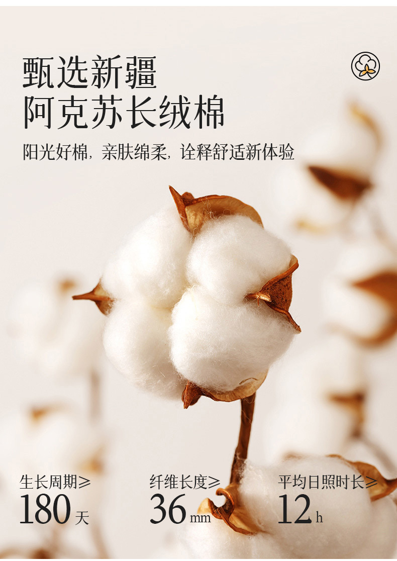 堆堆袜子女生夏季网眼透气轻薄无骨木耳边松口糖果色中筒简约棉袜详情5