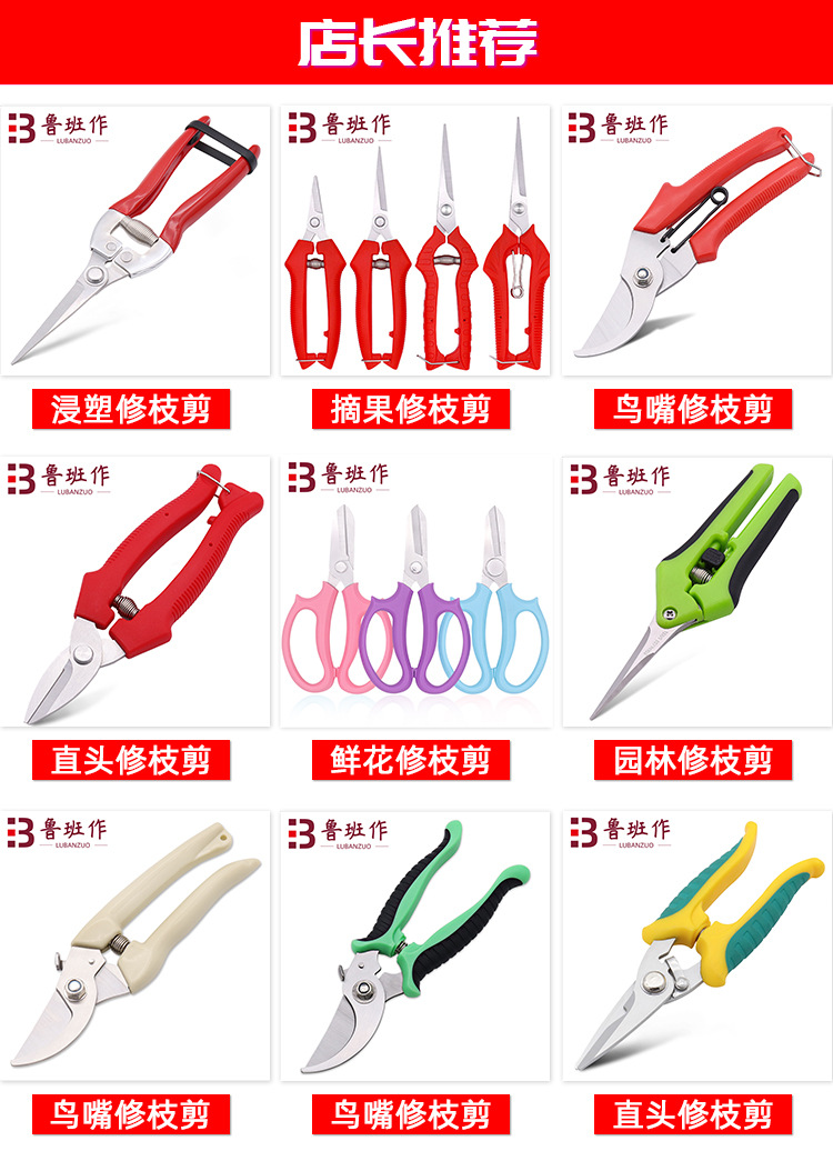 厂家批发乌嘴果枝剪 粗枝盆栽剪刀 园林园艺修枝剪刀详情2