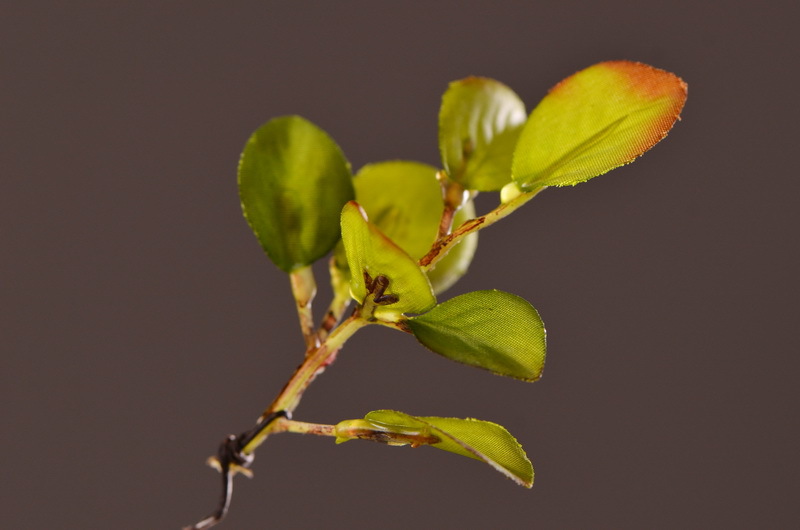 Flower Knowledge, simulating spring rain leaves, New Chinese-style Zen-inspired soft furnishings, flower leaf materials, simulating touch, autumn leaves, home decorations, floral art pic 6