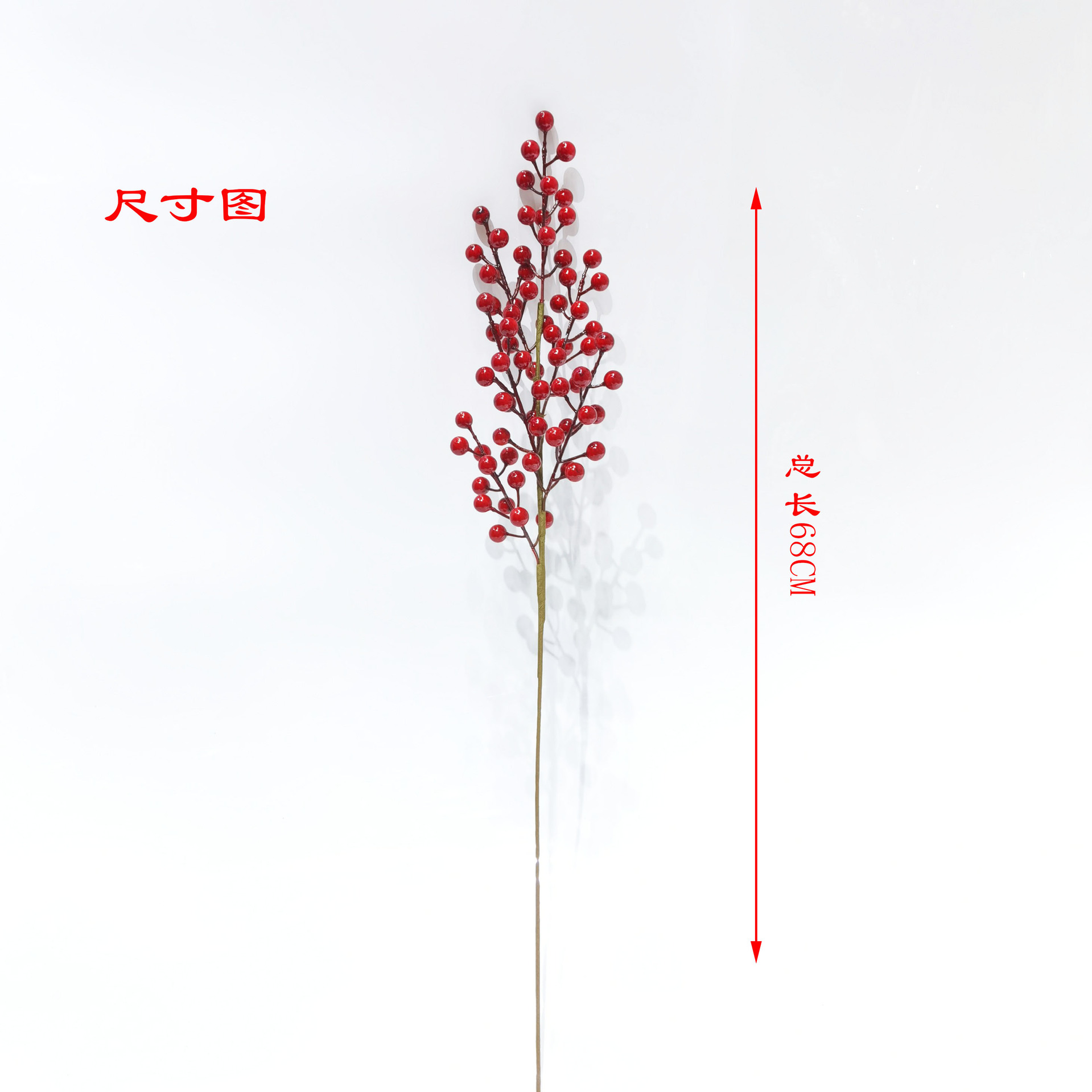 铁线六叉12果尺寸图