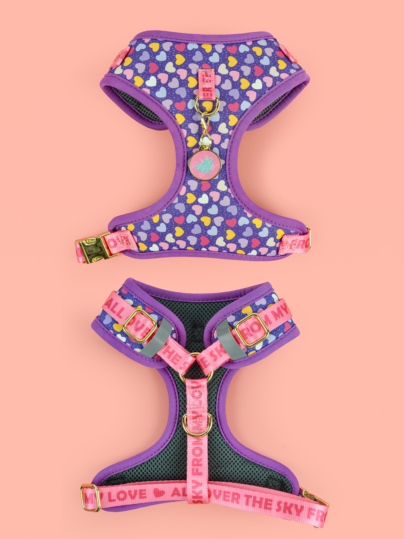 跨境新品夏日可爱时尚宠物胸背带吊坠适用于中大型宠物狗狗万圣节宠物详情13