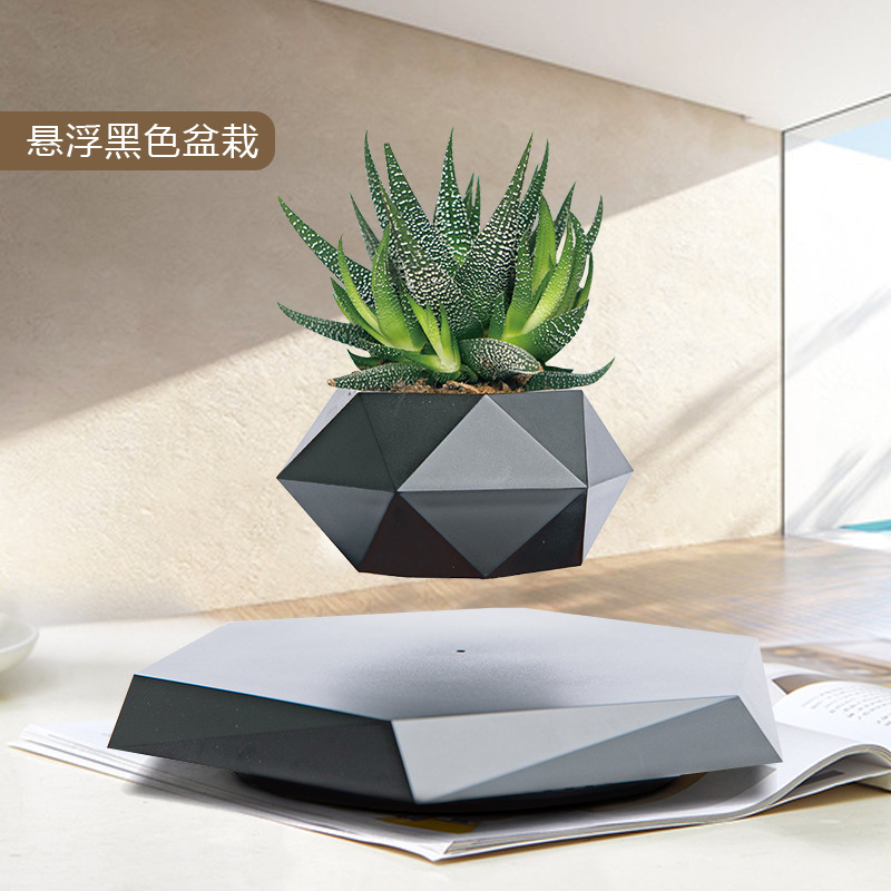 桌面植物盆栽批发室内绿植仿真可种多肉花苗diy欧式ins风植物摆件详情4