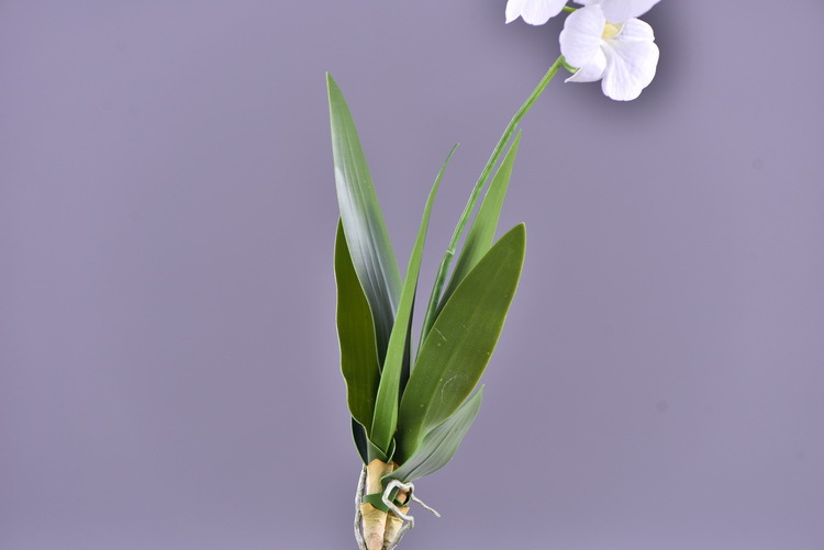 Factory direct sales of high-end artificial dendrobium, wholesale of artificial flowers with leaves, home decoration of Phalaenopsis and Lanjin artificial plants pic 45