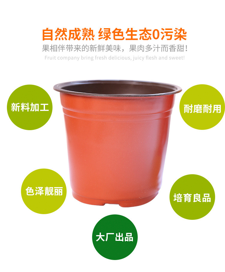 一次性育苗盆双色盆钵塑料简易花盆软塑料育苗双色花盆种植盆包邮详情2