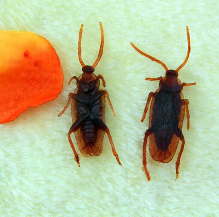 QQ图片20140616224846