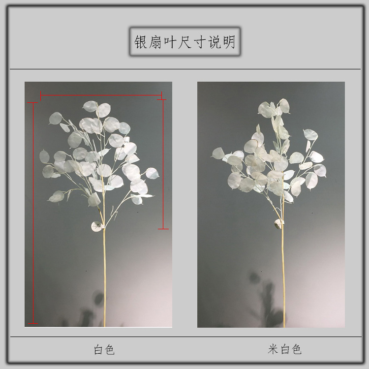 【 Factory Direct Sales Wholesale 】 Dongli offers direct supply of living room home decoration artificial dried flowers wholesale and artificial silver fan leaves in stock pic 2